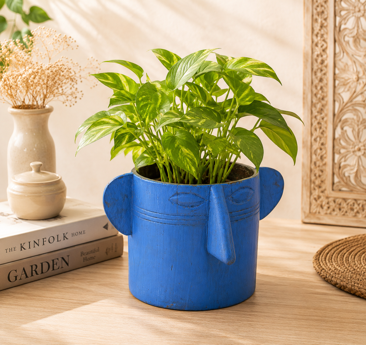 Decorative Collection Template