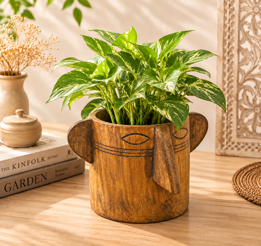 Handcrafted mango wood planter in natural antique finish, front view