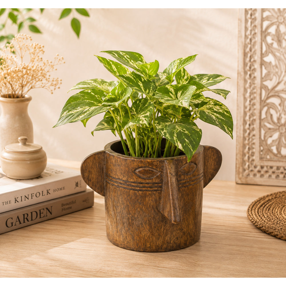Handcrafted Wooden Finish Planter – Rustic Decorative Plant Pot - 2026081001NWF