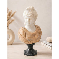 Handcrafted Marble Classical Lady Bust Sculpture with Black Pedestal - 2026081802UNQ