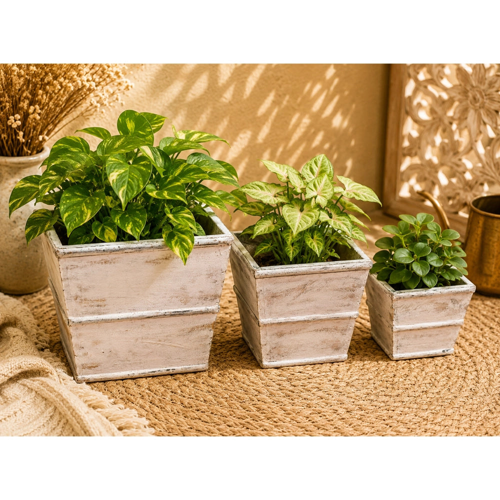 Vintage Handcrafted Wooden Planter Set of 3 – Rustic Whitewashed - 2026083115UNQ